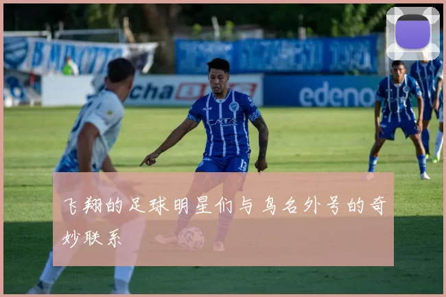 飞翔的足球明星们与鸟名外号的奇妙联系