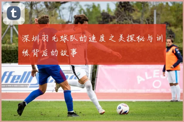 深圳羽毛球队的速度之美探秘与训练背后的故事