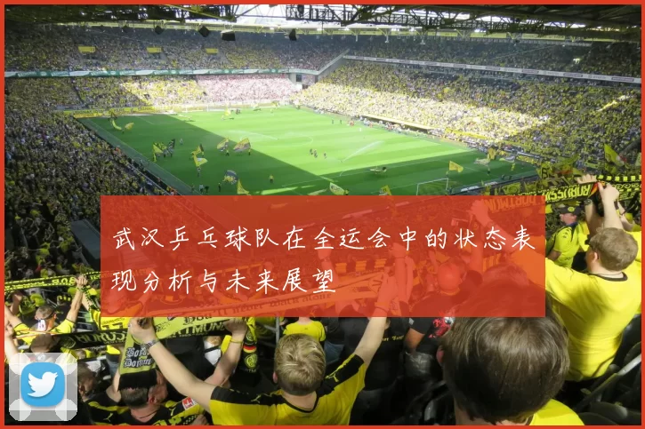 武汉乒乓球队在全运会中的状态表现分析与未来展望
