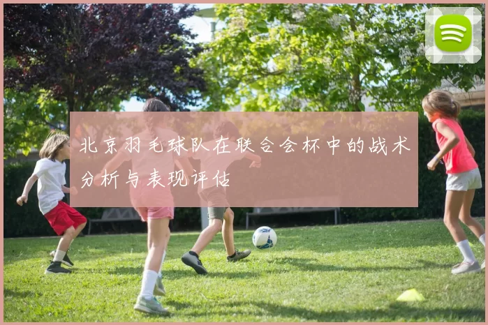 北京羽毛球队在联合会杯中的战术分析与表现评估