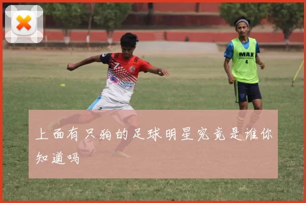 上面有只狗的足球明星究竟是谁你知道吗