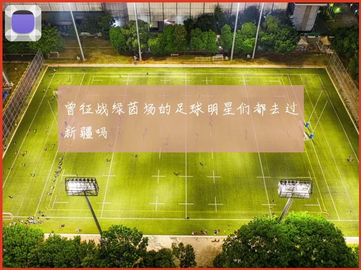曾征战绿茵场的足球明星们都去过新疆吗