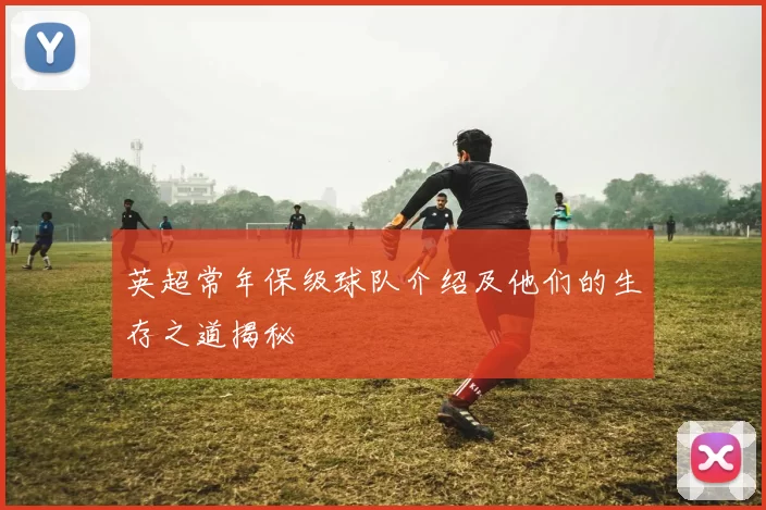 英超常年保级球队介绍及他们的生存之道揭秘