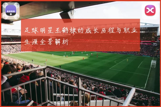 足球明星王鹤棣的成长历程与职业生涯全景解析