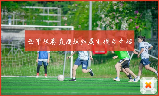 西甲联赛直播权归属电视台介绍