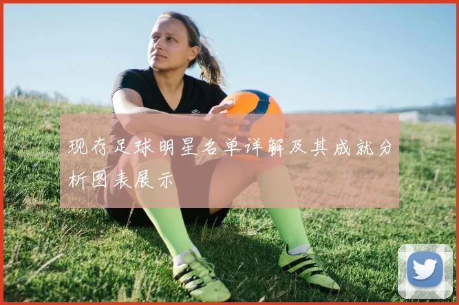 现存足球明星名单详解及其成就分析图表展示