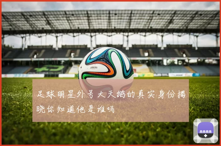 足球明星外号大天鹅的真实身份揭晓你知道他是谁吗