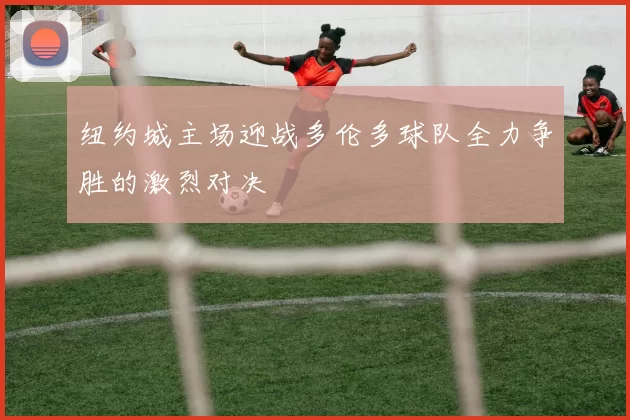 纽约城主场迎战多伦多球队全力争胜的激烈对决