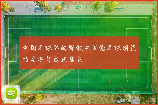 中国足球界的骄傲中国裔足球明星的名字与成就盘点