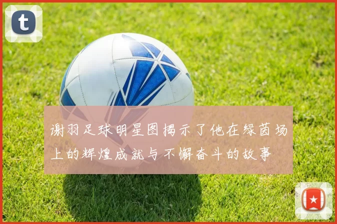 谢羽足球明星图揭示了他在绿茵场上的辉煌成就与不懈奋斗的故事