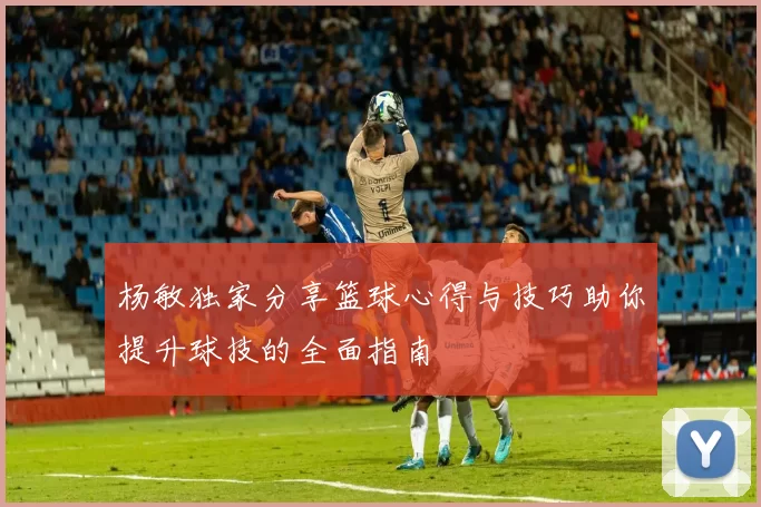 杨敏独家分享篮球心得与技巧助你提升球技的全面指南