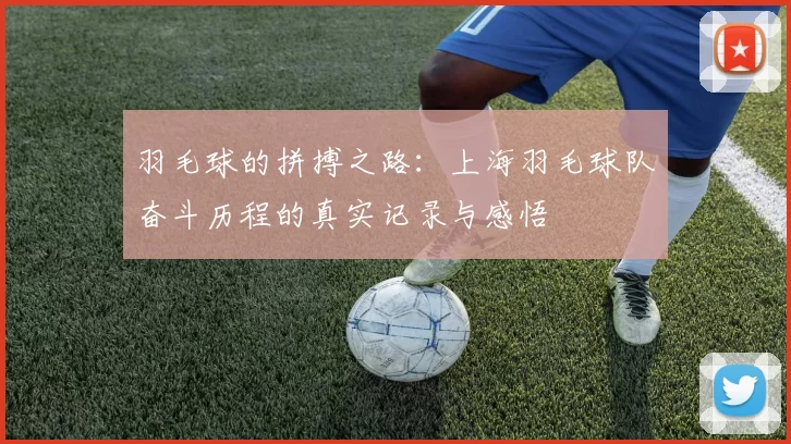 羽毛球的拼搏之路：上海羽毛球队奋斗历程的真实记录与感悟