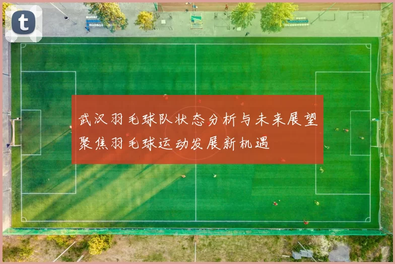 武汉羽毛球队状态分析与未来展望聚焦羽毛球运动发展新机遇
